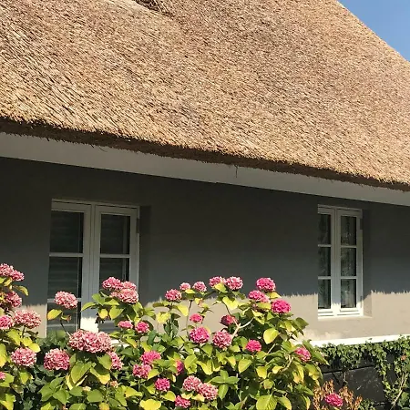 Lütt Reethuus Ferienhaus *